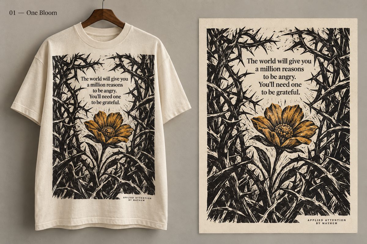 Gratitude: one bloom